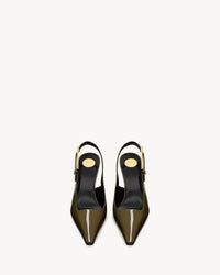 Kaki